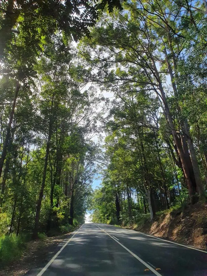 Lovestone Cottages Montville Australië